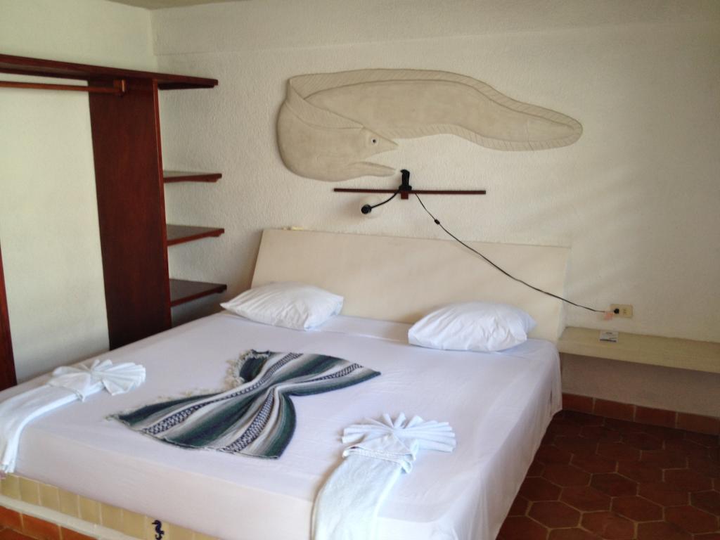 Safari Inn Cozumel Room photo