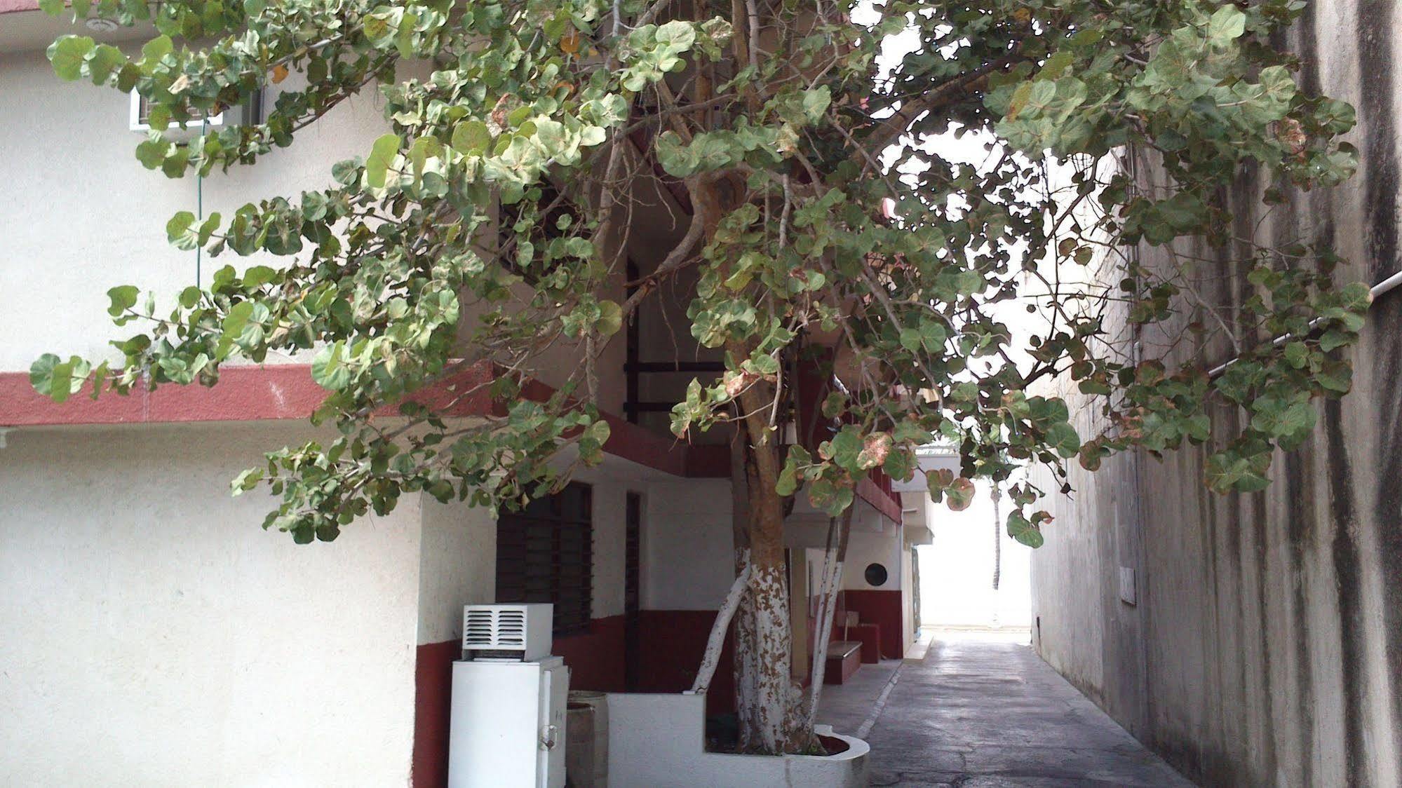 Safari Inn Cozumel Exterior photo
