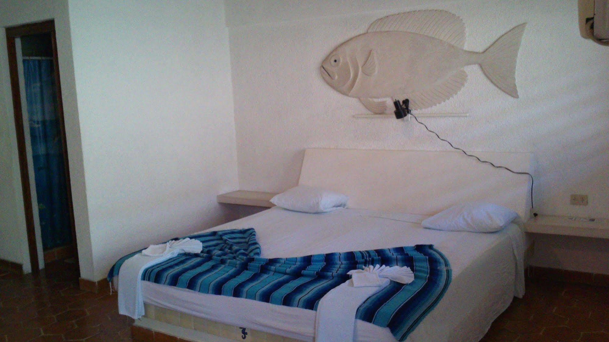 Safari Inn Cozumel Exterior photo